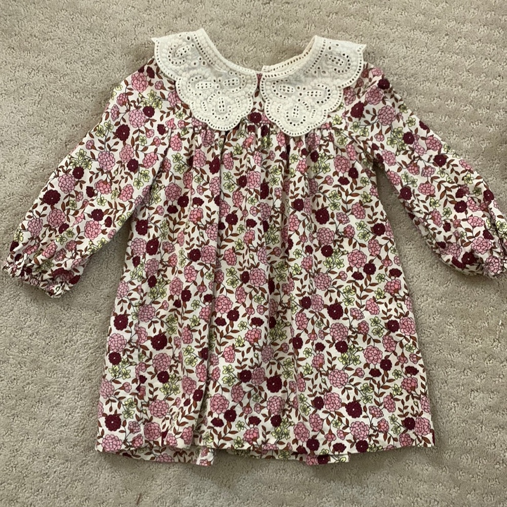 3-4T Zara lace collar dress
